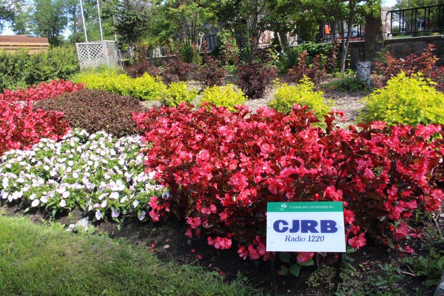 Bushes in a flower bed